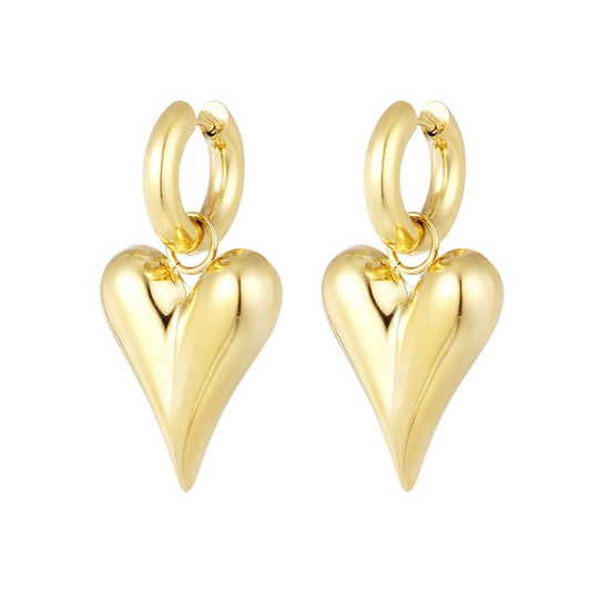 Big heart earrings