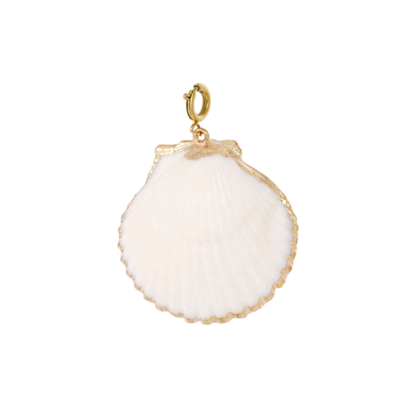 Seashell bedel